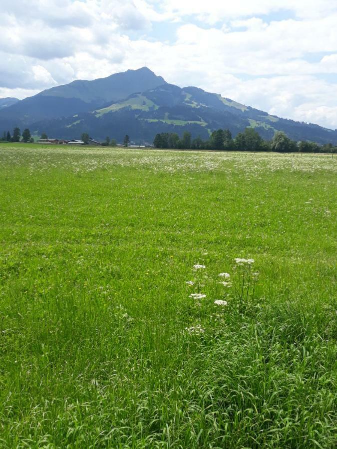 Appartement Müllner Kirchdorf in Tirol Kültér fotó